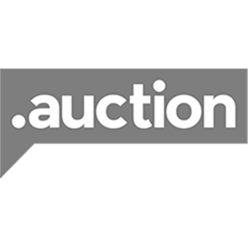 Зарегистрировать домен в зоне .auction