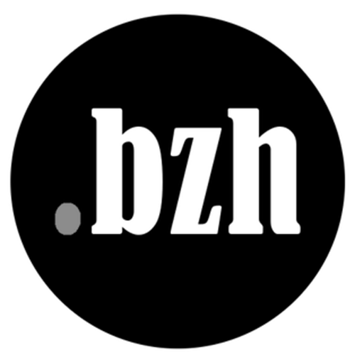 Зарегистрировать домен в зоне .bzh