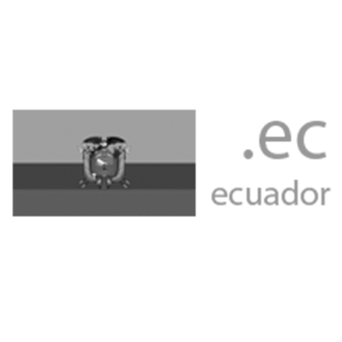 Зарегистрировать домен в зоне .ec