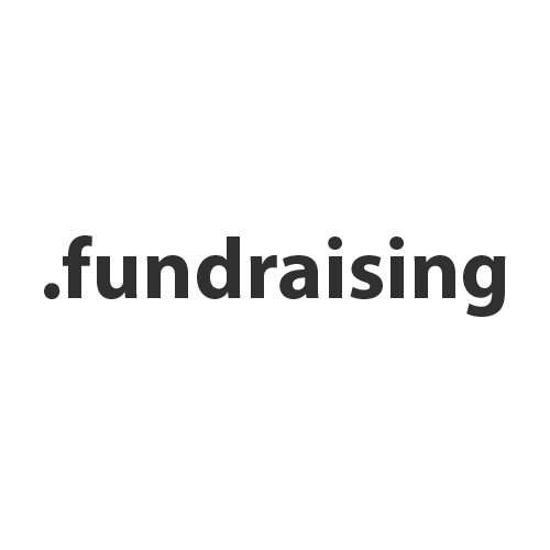 Зарегистрировать домен в зоне .fundraising
