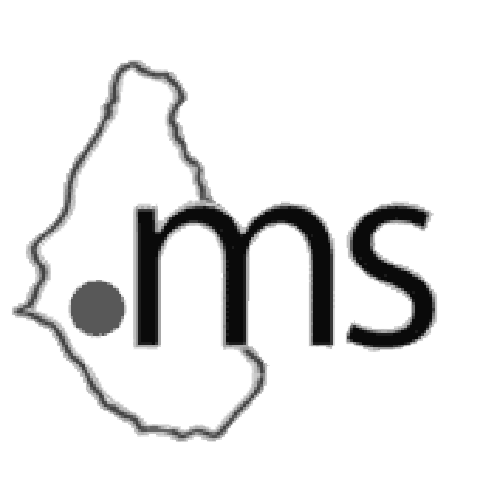 Зарегистрировать домен в зоне .ms