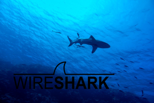Релиз Wireshark 4.4.7