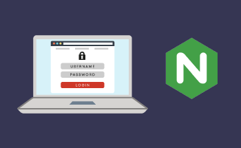 Защита контента в Linux: Защита паролем с помощью Nginx